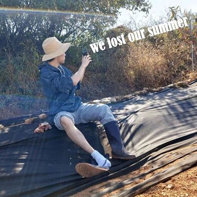 We Lost Our Summer