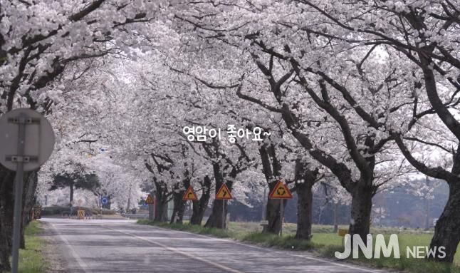 생성형AI 제작_홍보 음악_영암이 좋아요 화면 캡쳐