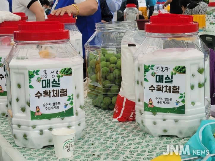 순천시 월등면, 「제3회 월등향매실 수확체험행사」