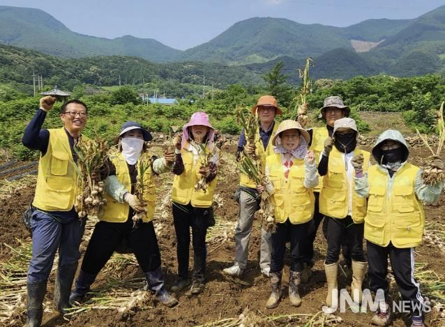 단양노인복지관, 두 해 연속 지역 농가 마늘 수확 봉사 실시
