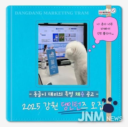 강원 댕턴즈 모집 홍보 이미지