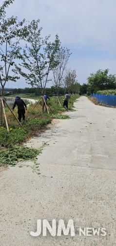 김천시, 가시박 등 생태계 교란 식물 퇴치 사업 실시