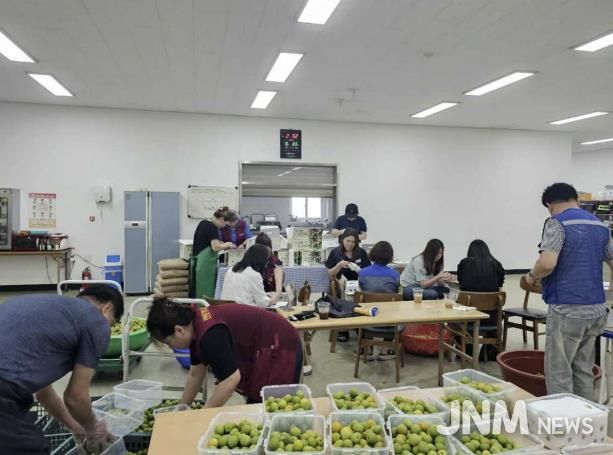 시흥시 신현동 자원봉사지원단, 취약계층에 '정성 한 스푼, 매실청 담그기' 진행