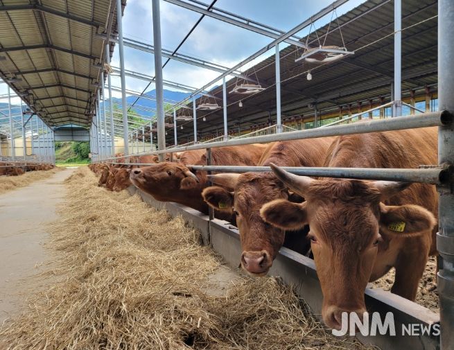 국내 최고 품질로, 중동시장 진출