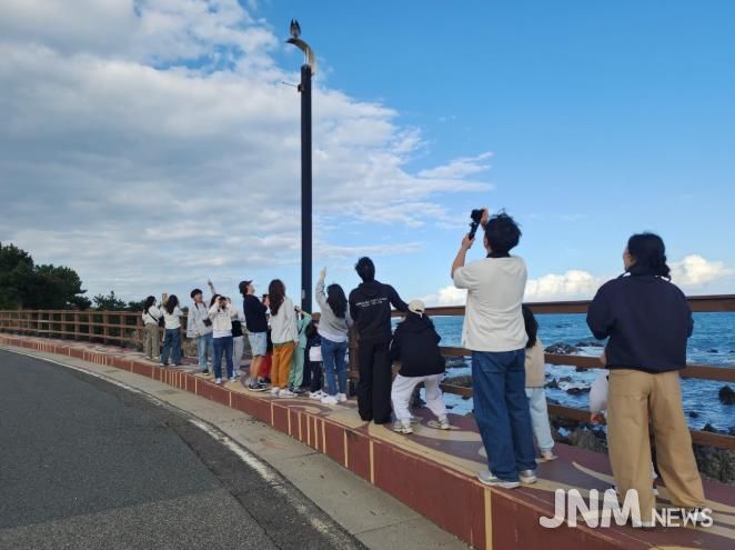 울산기후위기대응센터는 25일 간절곶 일대에서 '철새 관찰' 특별 프로그램을 열었다.j