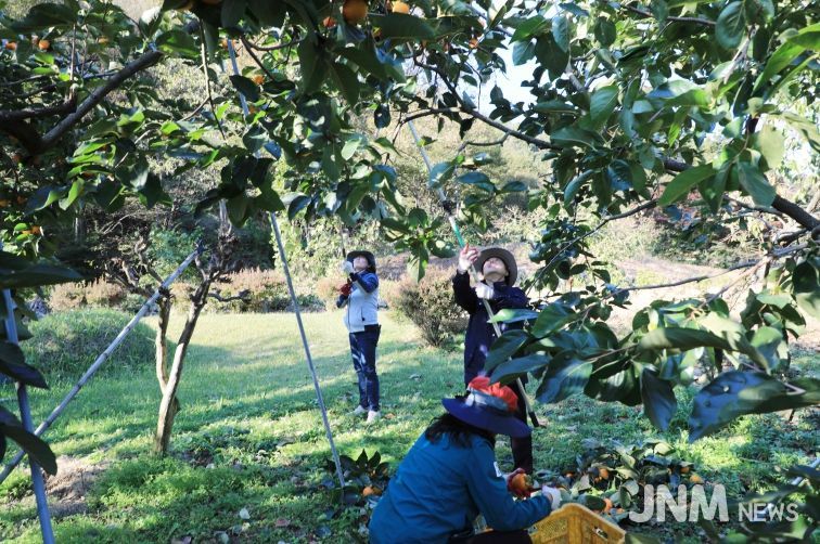 함양군 2025 하반기 농촌일손돕기