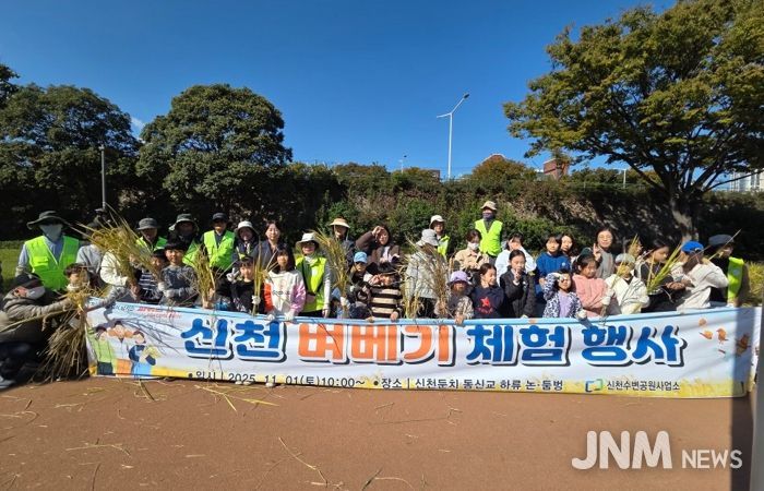 도심 속 논에서 황금빛 추수” 신천둔치 벼 베기 체험