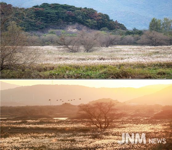 화포 조명훈 사진가