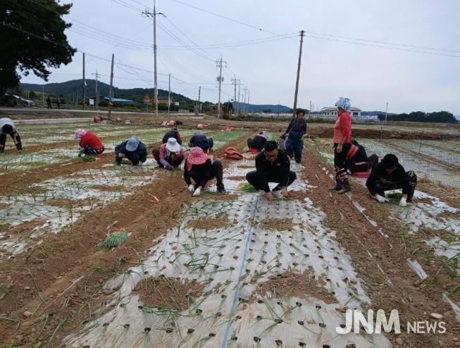고흥군, 양파 노균병 약제 지원으로 사전방제 지도 나서