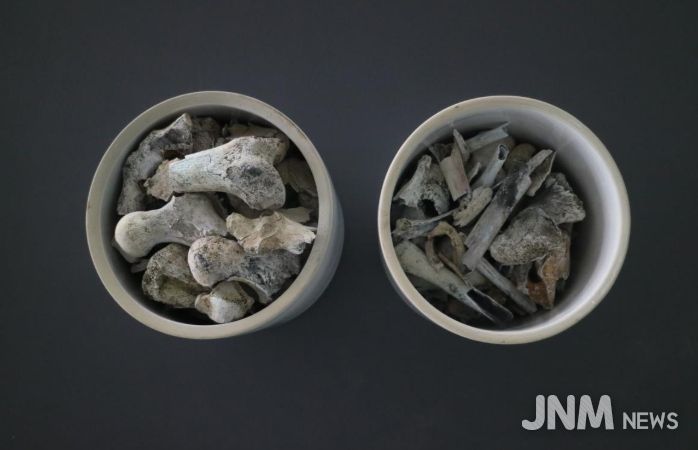 2005년 3월 경상북도 포항시 북구 흥해읍 도음산 정상에서 발굴한 국군 제8사단 10연대 소속의 고(故) 양이한 일병의 유해