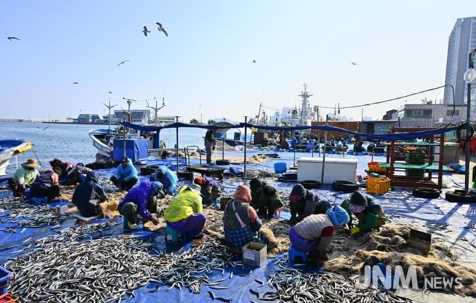 양미리도루묵 축제 관련(양미리 조업 사진)