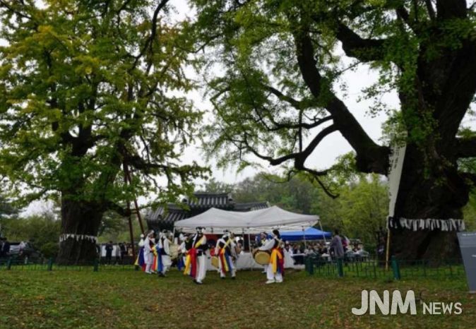 당산나무 할아버지 활동 모습 ‘세종 임난수 은행나무’ 당산제