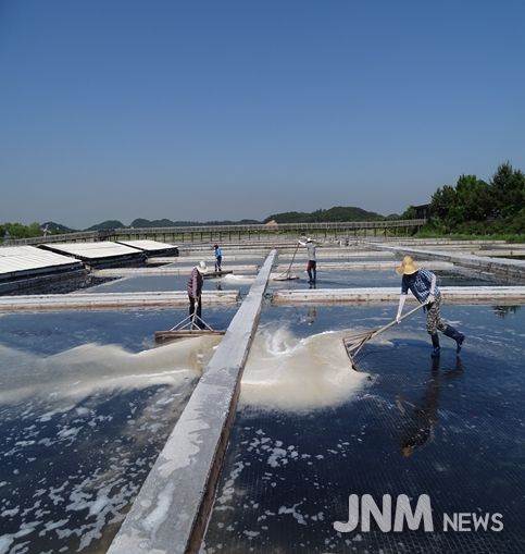 천일염 채취