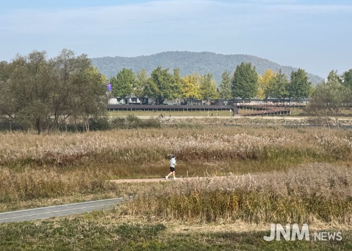‘가을의 도시’ 아산서 은빛 억새·황금 단풍 즐겨요