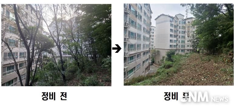 동작구 사당유니드아파트 ‘위험 수목 정비’ 전후 사진