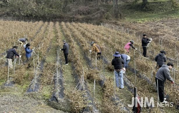보은군, 수확철 농촌일손돕기 ‘구슬땀’… 농가에 큰 힘
