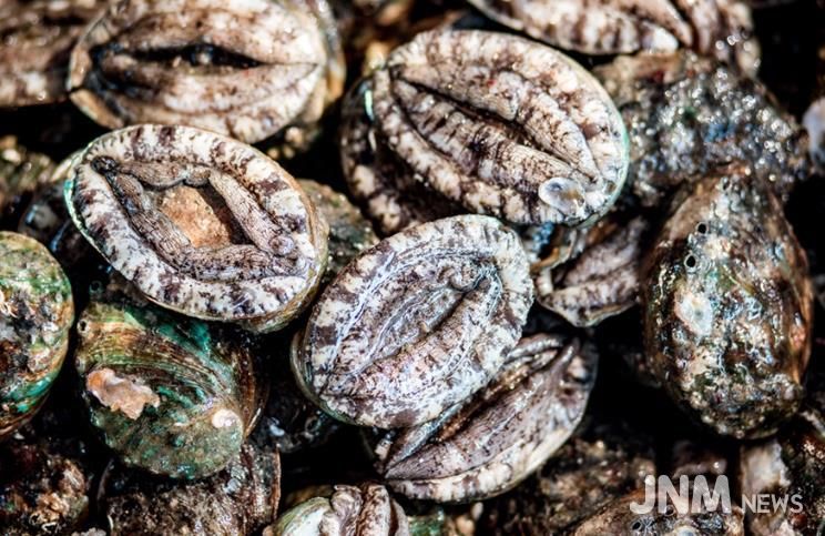 진도군전복협회, ‘학교급식 진도전복 먹는 날’ 운동 전개