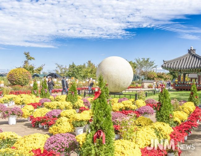 3천만 송이 가을꽃 물결 속 41만 명 발길