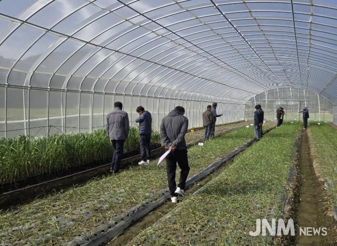 남해마늘연구소 '마늘 우량종구 생산' 박차