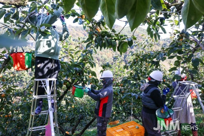 “수확철 넘어짐·미끄러짐·떨어짐 주의하세요”