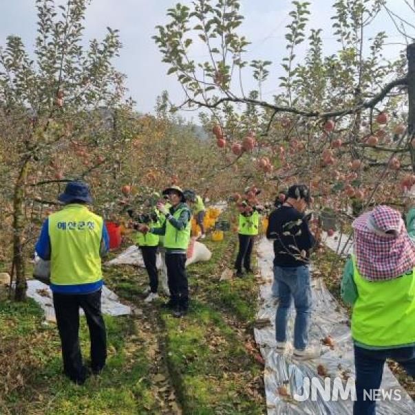 세무과 직원들이 농촌 일손돕기 활동에 참여하는 모습