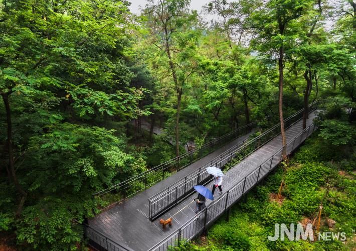 남산자락숲길 산책길