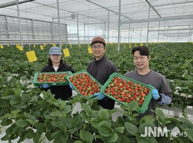 경북도 내 첫 수출 스타트, 상주 딸기 베리굿!