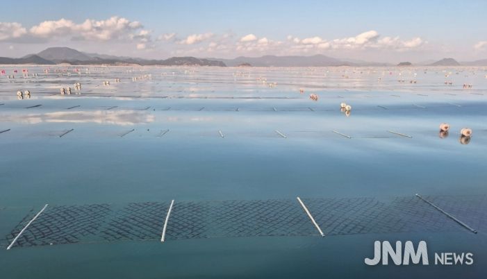 2026년산 청정 고흥산 김 본격 출하