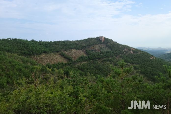 내화수림 조성 후