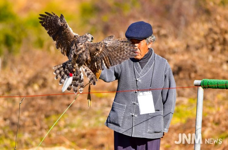 진안군, 전북특별자치도 무형유산 ‘매사냥’ 공개시연회 개최
