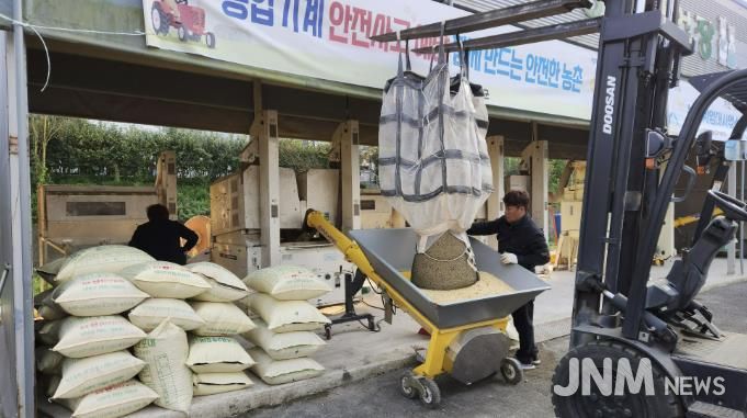 콩 정선 작업 사진