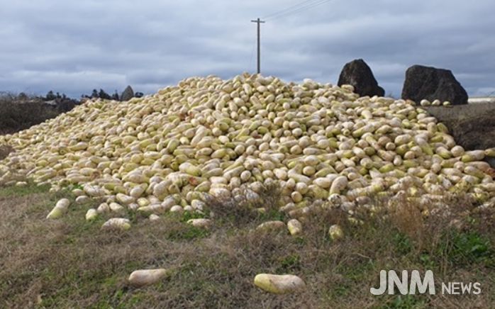 농산물류 폐기물 무단 투기 집중 단속
