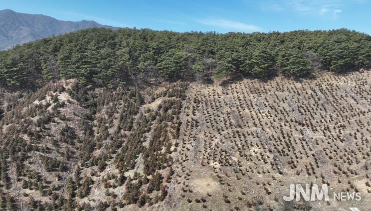 산청군, 경남도 산림자원분야 평가 장려상..조림·숲가꾸기 효율 관리