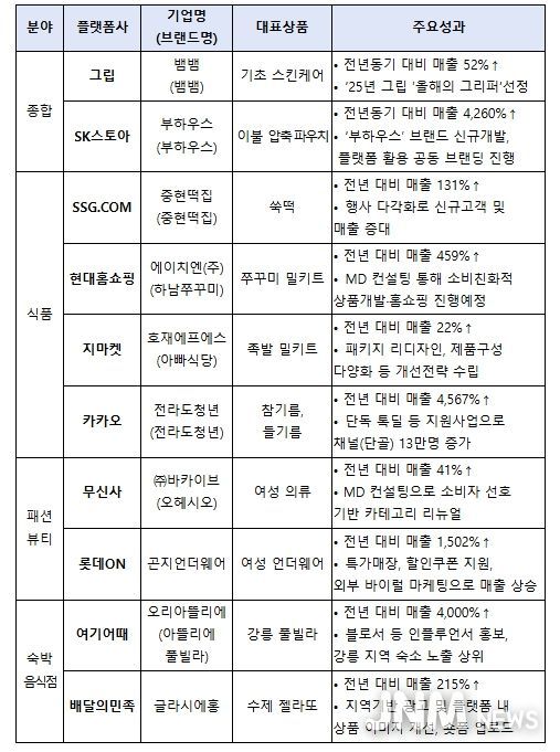 플랫폼사별 우수 사례