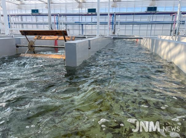 육상 김 양식(수로형 트랙 수조)
