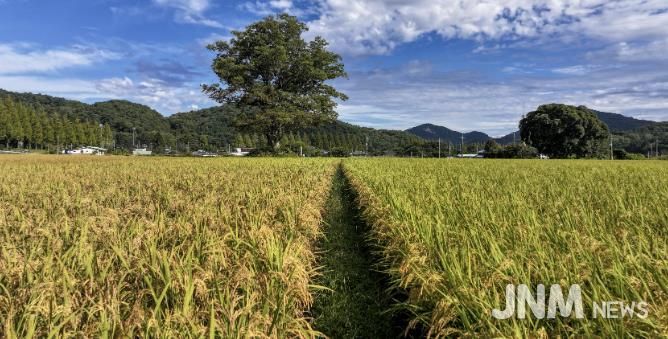 순창군 태이친환경영농조합법인, 제주도 학교급식 친환경 쌀 공급업체 선정