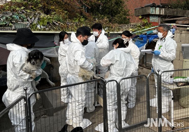 긴급구조된 개들이 백신을 접종하는 모습