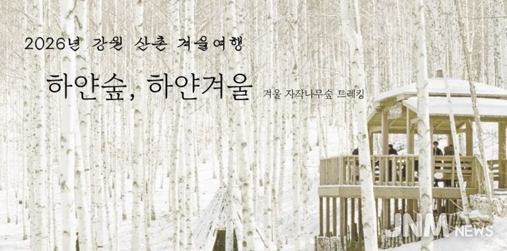 인제 자작나무숲에서 즐기는 겨울 힐링 여행