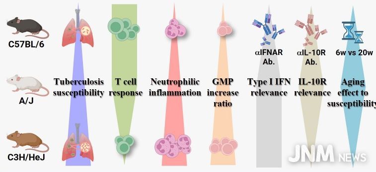 중증 결핵 마우스 모델을 통해 공통 면역 병리 기전 확인