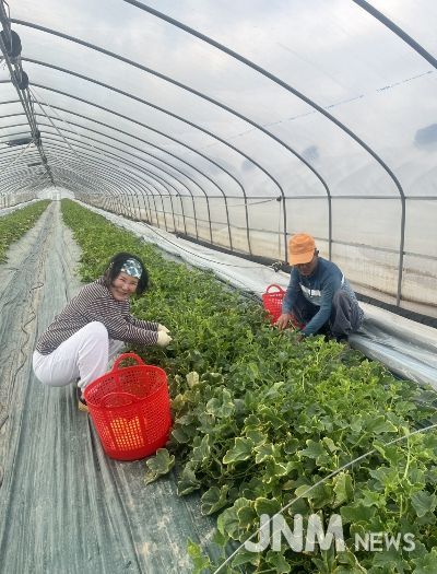 다산참외 첫출하