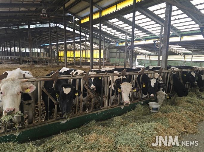 정읍시, 낙농가 경쟁력 강화에 4억 1800만원 투입