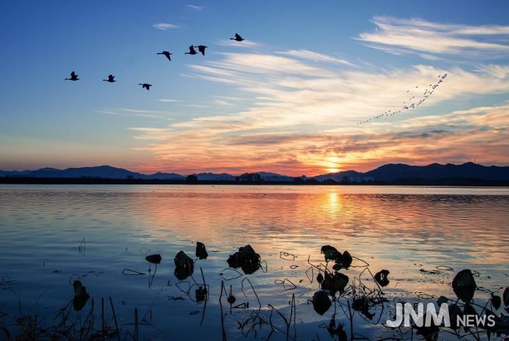 주남저수지 전경
