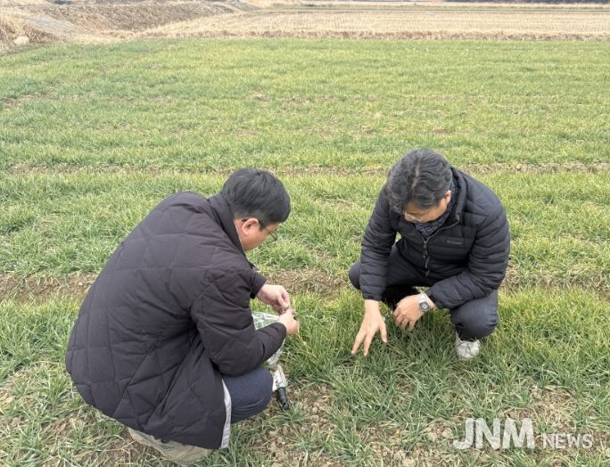 , 맥류·마늘·양파 등 ‘생육 재생기’ 현장 지도 강화